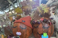 plac festival jeseni 04 plac festival jeseni 04