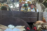 plac festival jeseni 05 plac festival jeseni 05