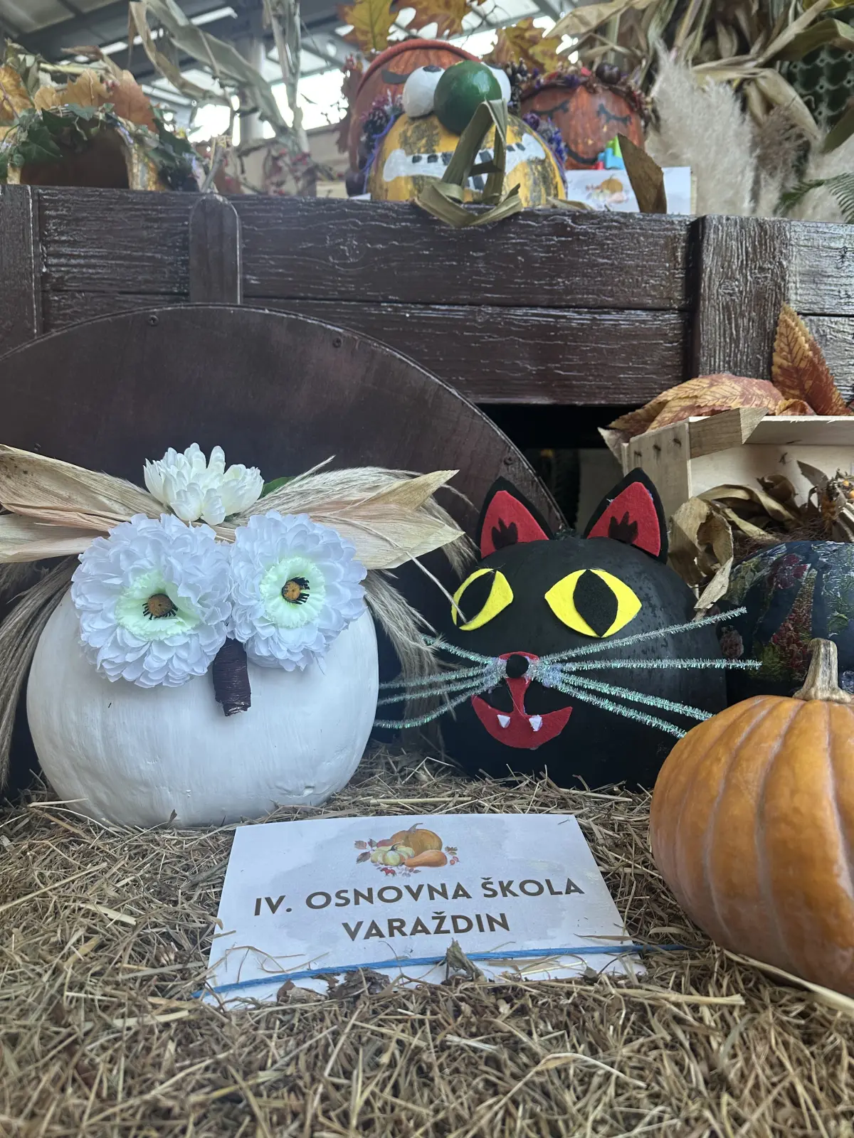 plac festival jeseni 05 plac festival jeseni 05