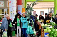 plac jabuke musmule zelje – vzhr 01 plac jabuke musmule zelje – vzhr 01