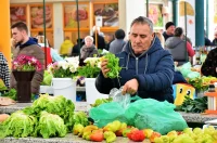 plac jabuke musmule zelje – vzhr 02 plac jabuke musmule zelje – vzhr 02