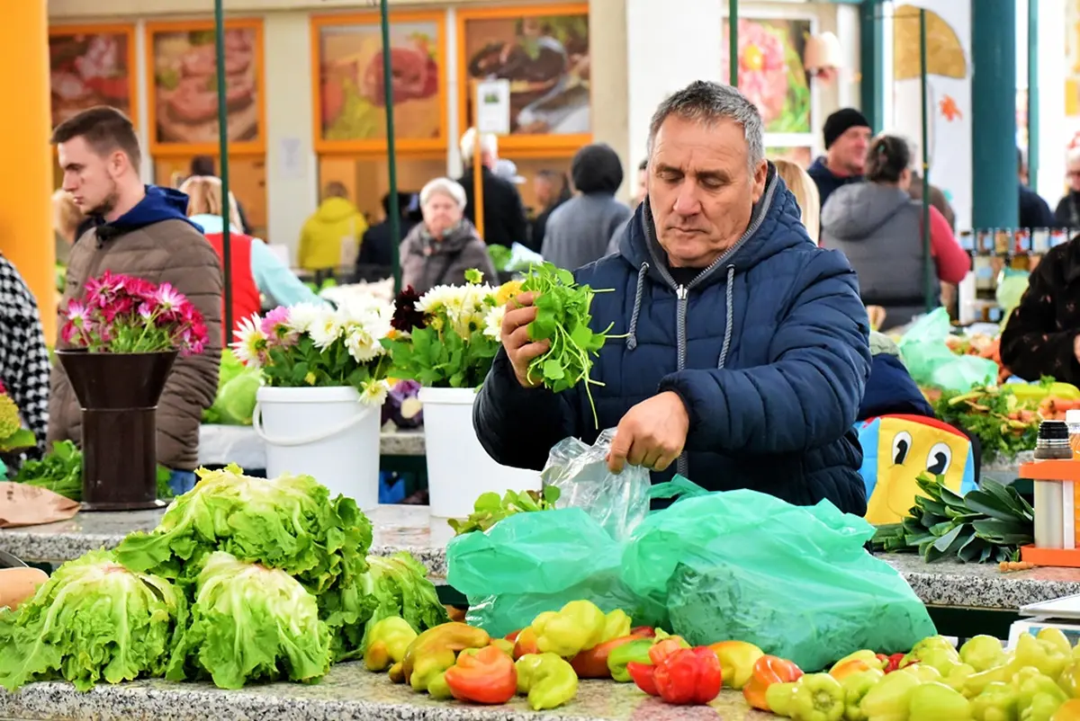 plac jabuke musmule zelje – vzhr 02 plac jabuke musmule zelje – vzhr 02