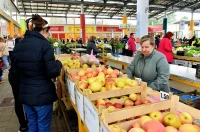 plac jabuke musmule zelje – vzhr 03 plac jabuke musmule zelje – vzhr 03