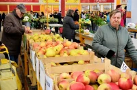 plac jabuke musmule zelje – vzhr 05 plac jabuke musmule zelje – vzhr 05