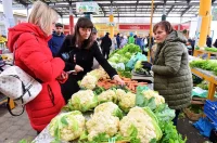 plac jabuke musmule zelje – vzhr 07 plac jabuke musmule zelje – vzhr 07