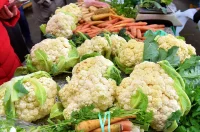 plac jabuke musmule zelje – vzhr 08 plac jabuke musmule zelje – vzhr 08