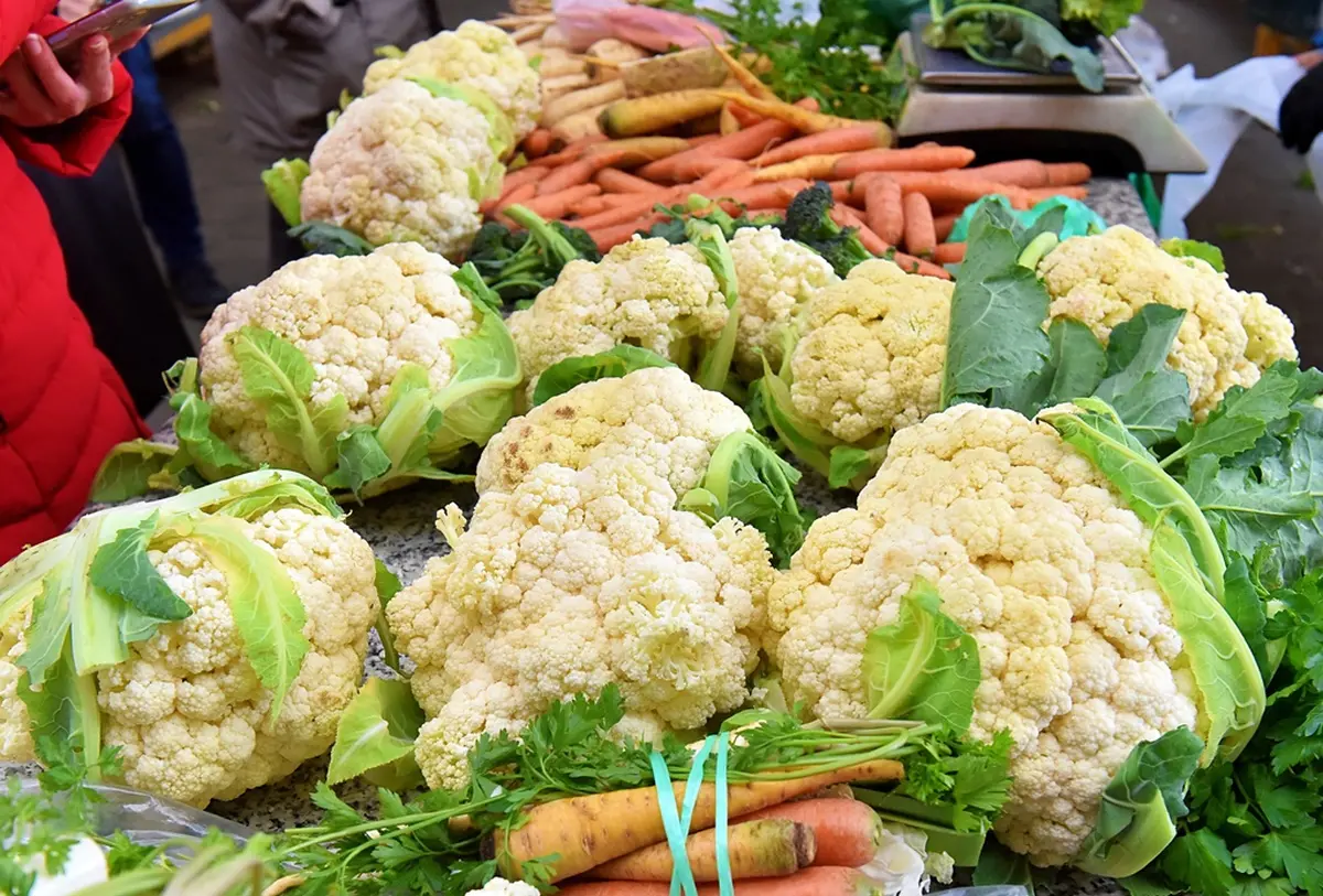 plac jabuke musmule zelje – vzhr 08 plac jabuke musmule zelje – vzhr 08