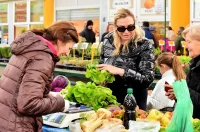 plac jabuke musmule zelje – vzhr 09 plac jabuke musmule zelje – vzhr 09