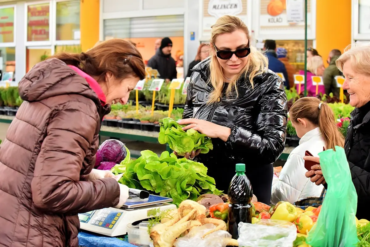 plac jabuke musmule zelje – vzhr 09 plac jabuke musmule zelje – vzhr 09