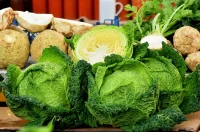 plac jabuke musmule zelje – vzhr 11 plac jabuke musmule zelje – vzhr 11