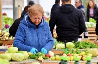 plac jabuke musmule zelje – vzhr 12 plac jabuke musmule zelje – vzhr 12