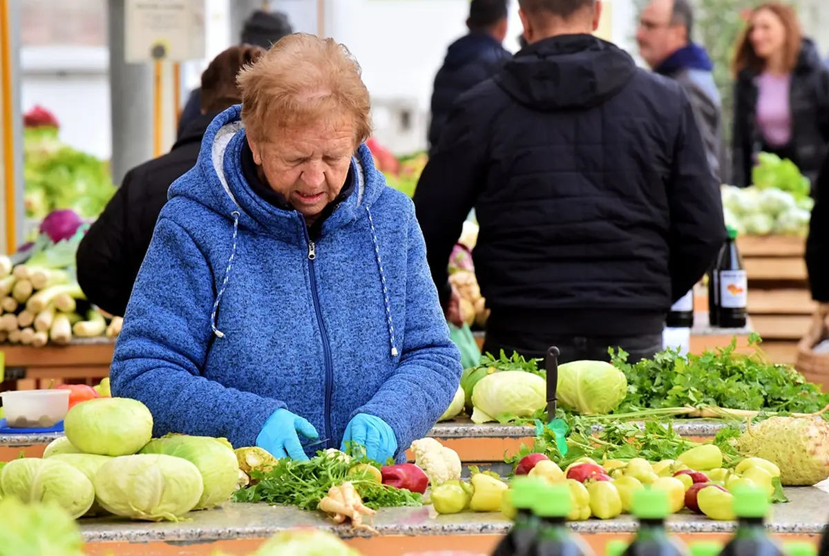 plac jabuke musmule zelje – vzhr 12 plac jabuke musmule zelje – vzhr 12