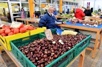 plac jabuke musmule zelje – vzhr 13 plac jabuke musmule zelje – vzhr 13