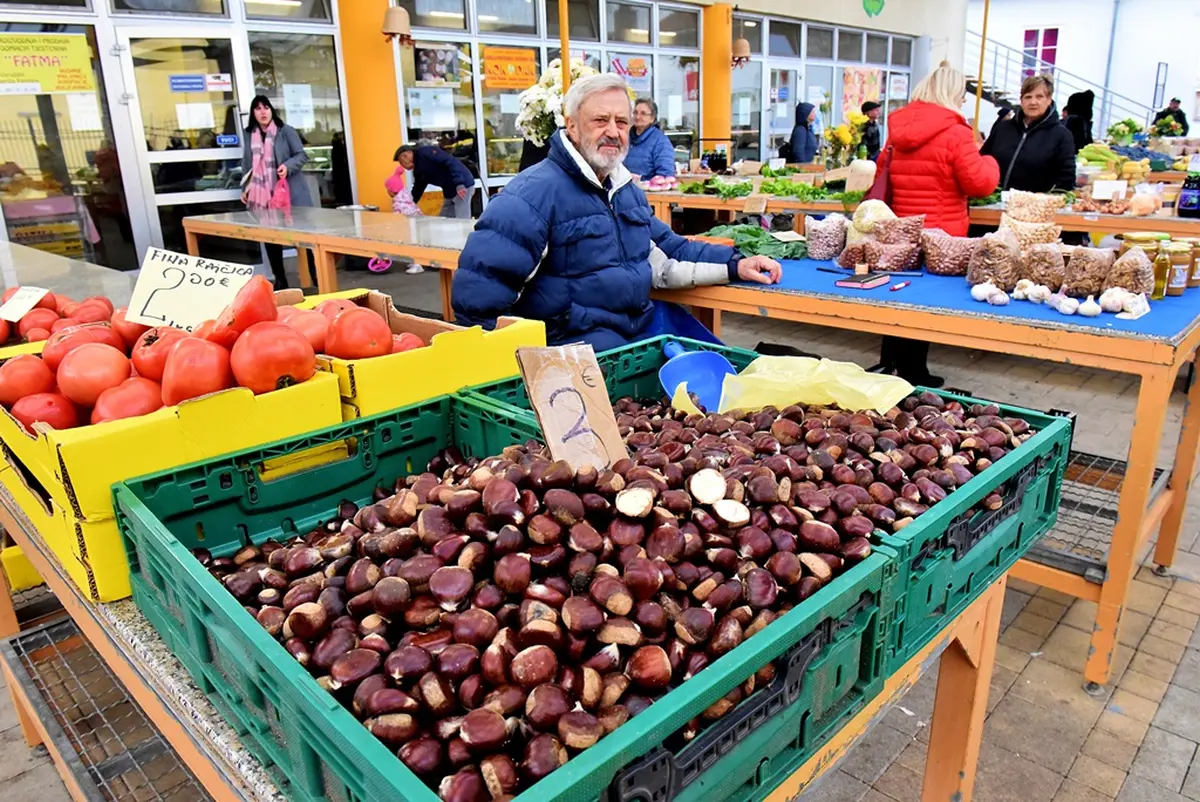 plac jabuke musmule zelje – vzhr 13 plac jabuke musmule zelje – vzhr 13