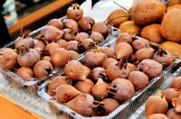 plac jabuke musmule zelje – vzhr 14 plac jabuke musmule zelje – vzhr 14