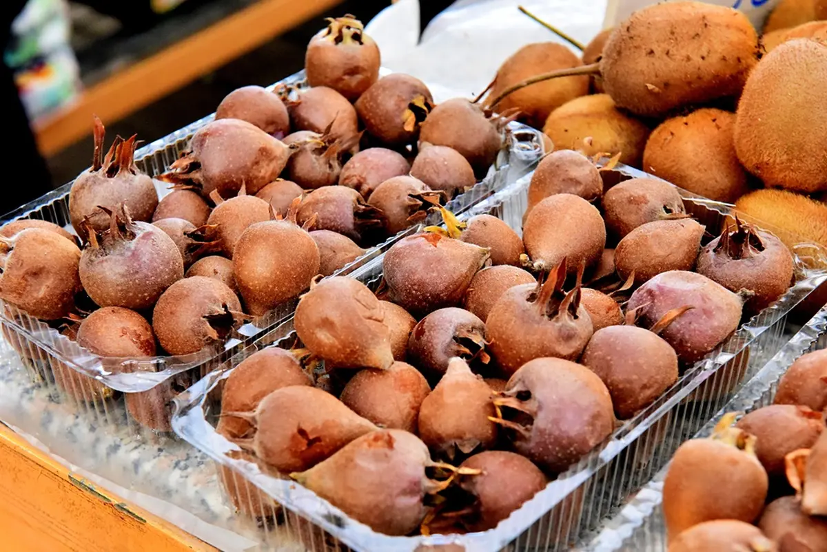 plac jabuke musmule zelje – vzhr 14 plac jabuke musmule zelje – vzhr 14