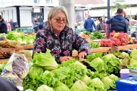 plac jabuke musmule zelje – vzhr 15 plac jabuke musmule zelje – vzhr 15