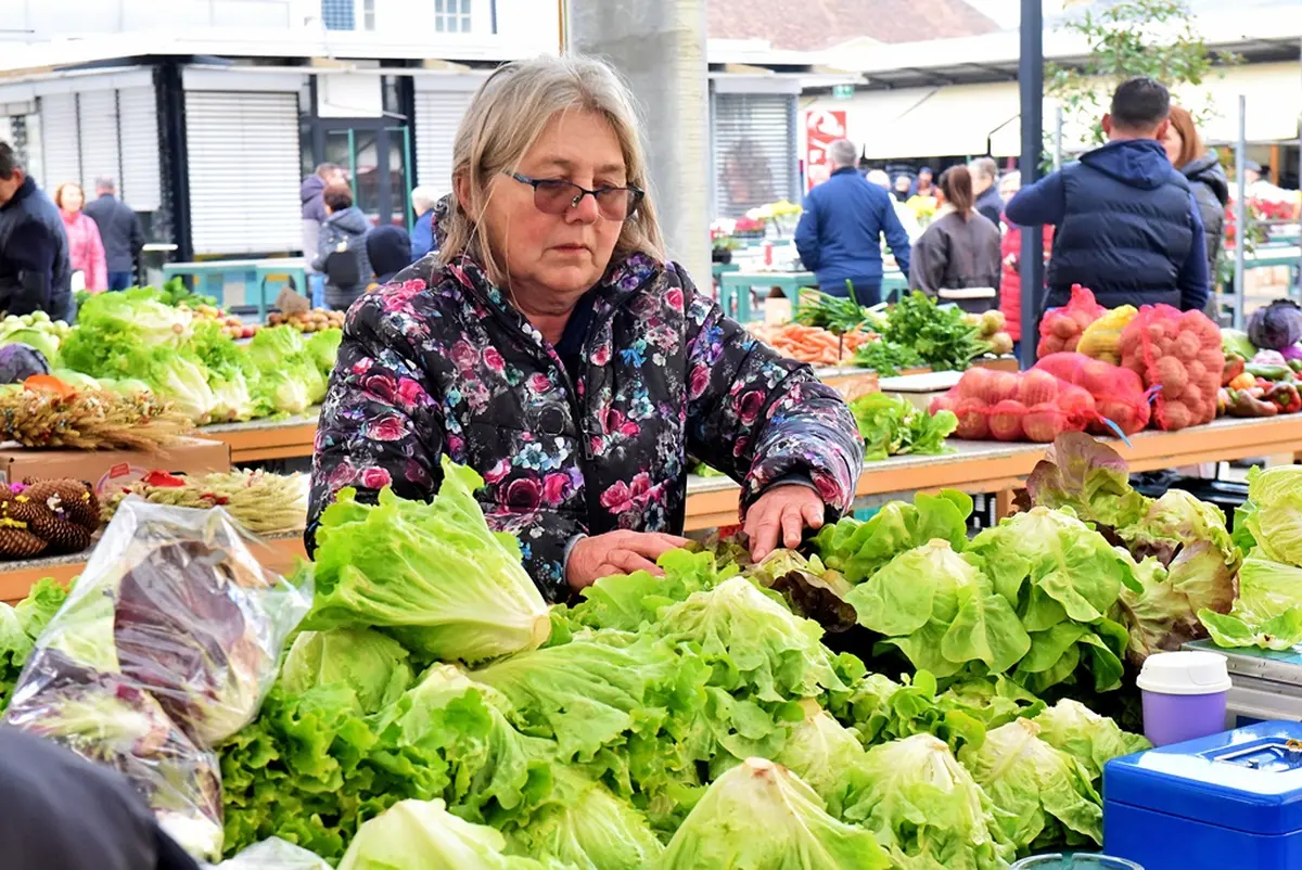 plac jabuke musmule zelje – vzhr 15 plac jabuke musmule zelje – vzhr 15