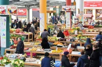 plac jabuke musmule zelje – vzhr 16 plac jabuke musmule zelje – vzhr 16