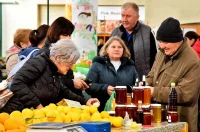 plac jabuke musmule zelje – vzhr 18 plac jabuke musmule zelje – vzhr 18