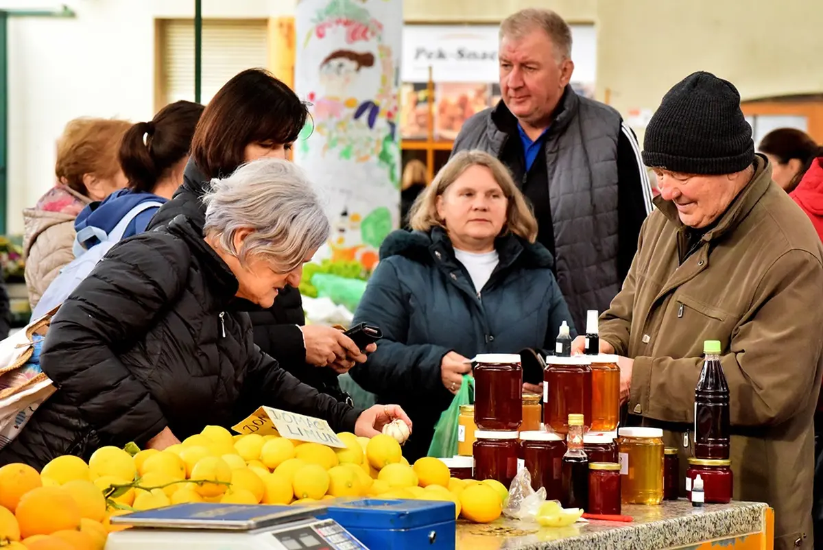 plac jabuke musmule zelje – vzhr 18 plac jabuke musmule zelje – vzhr 18