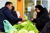 plac jabuke musmule zelje – vzhr 19 plac jabuke musmule zelje – vzhr 19