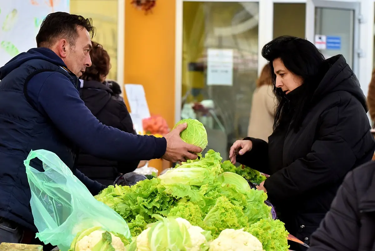 plac jabuke musmule zelje – vzhr 19 plac jabuke musmule zelje – vzhr 19