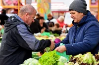 plac jabuke musmule zelje – vzhr 20 plac jabuke musmule zelje – vzhr 20