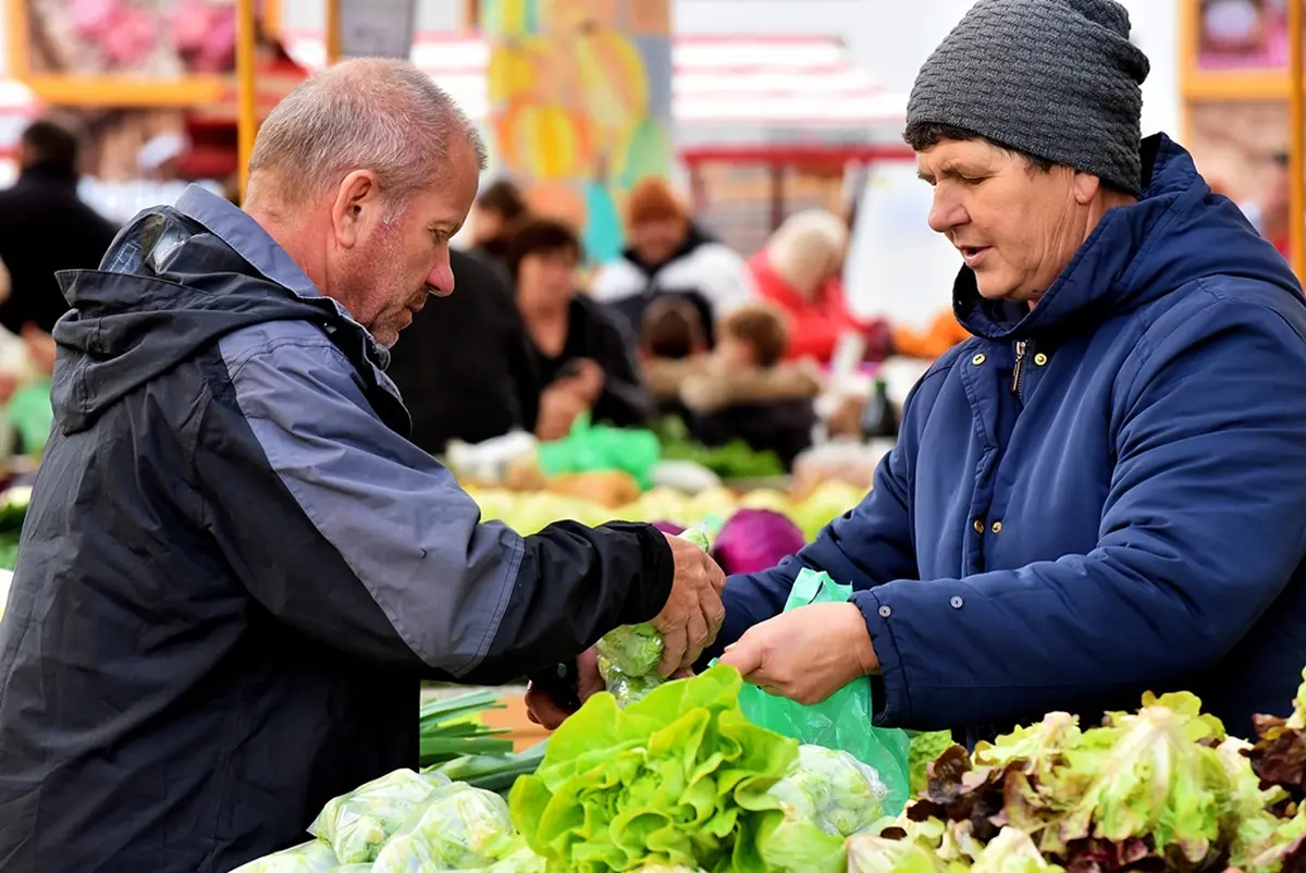 plac jabuke musmule zelje – vzhr 20 plac jabuke musmule zelje – vzhr 20