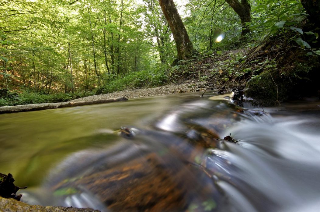 Potok na umbera?kom gorju Potok na umbera?kom gorju