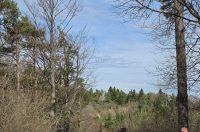 ravna gora, bednja, uskrsni ponedjeljak (12) ravna gora, bednja, uskrsni ponedjeljak (12)