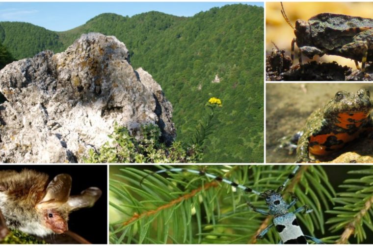 siljevec natura 2000 v2