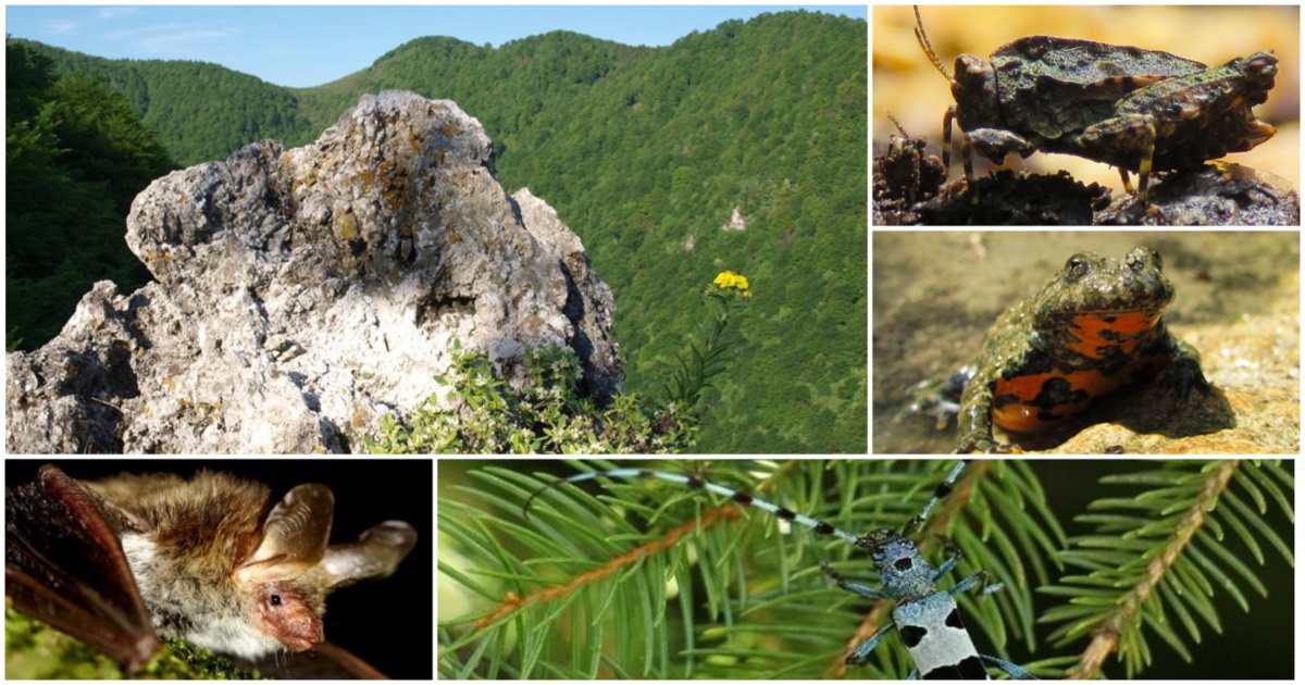 siljevec natura 2000 v2 siljevec natura 2000 v2