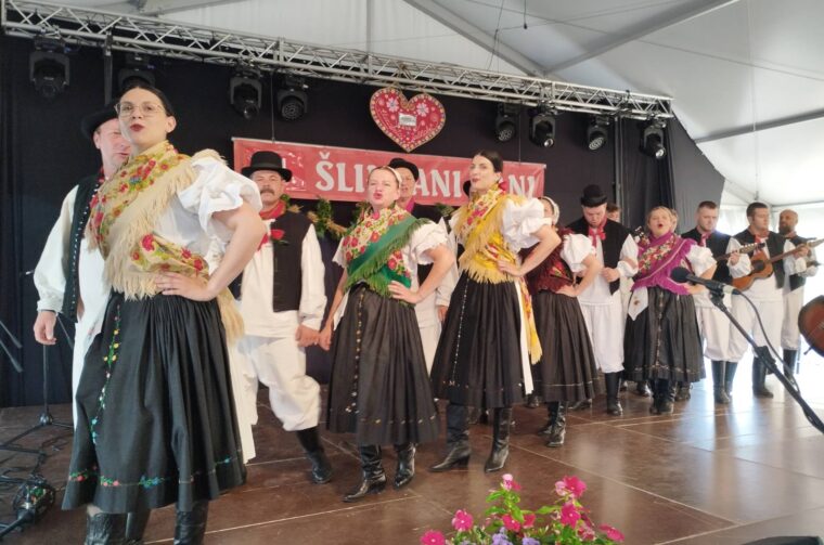 slingani dani – vz zupanija