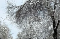 snijeg – grad vz 08