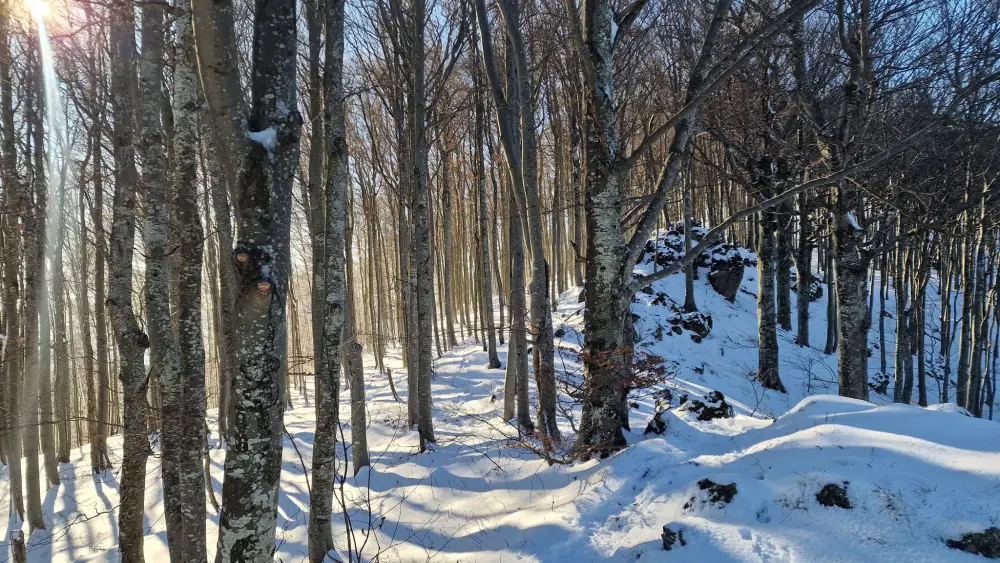 snijeg na Ivanščici FOTO Zoran Stanko 05 snijeg na Ivanščici FOTO Zoran Stanko 05