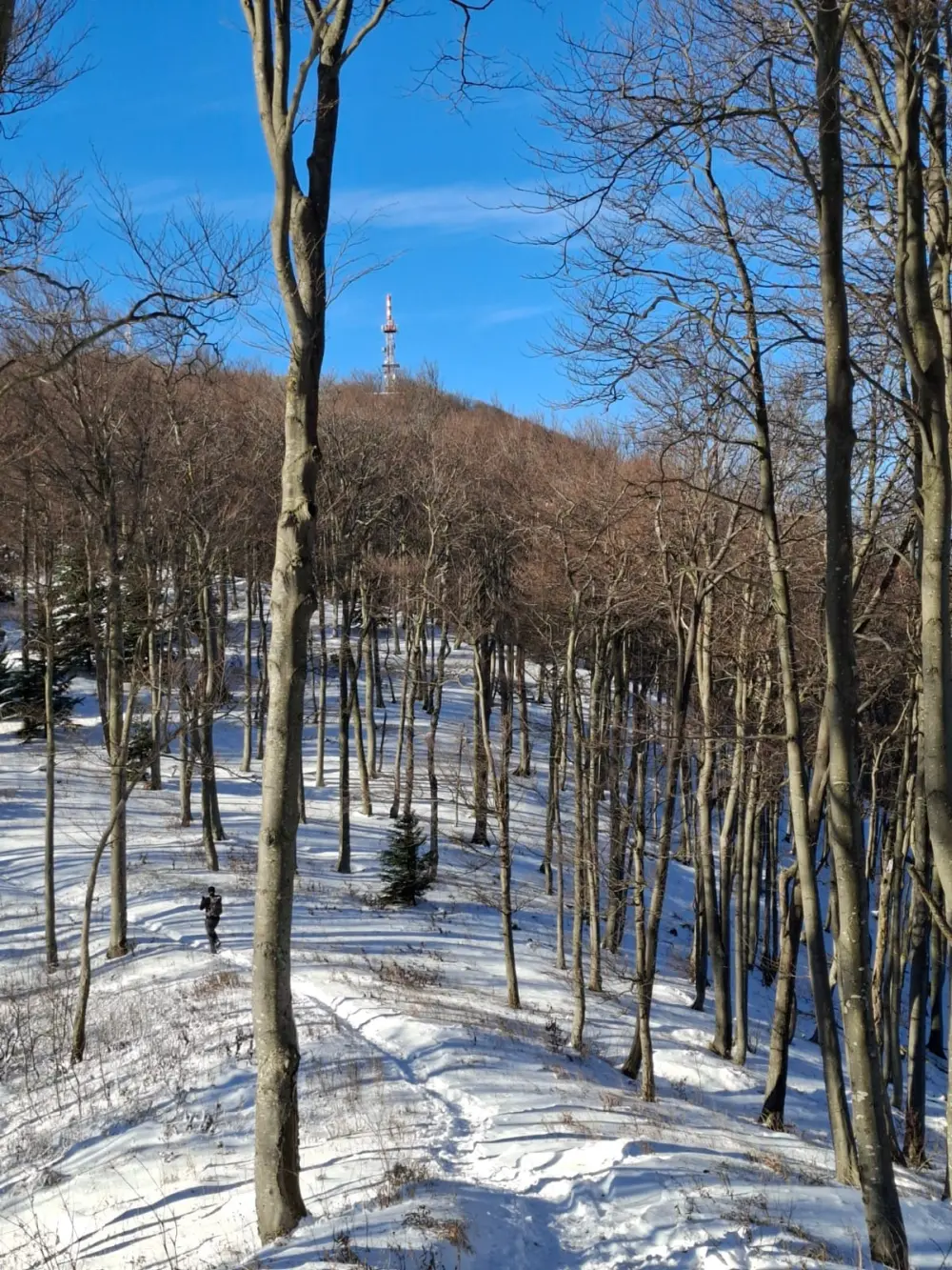 snijeg na Ivanščici FOTO Zoran Stanko 08 snijeg na Ivanščici FOTO Zoran Stanko 08