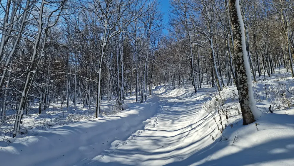 snijeg na Ivanščici FOTO Zoran Stanko 12 snijeg na Ivanščici FOTO Zoran Stanko 12