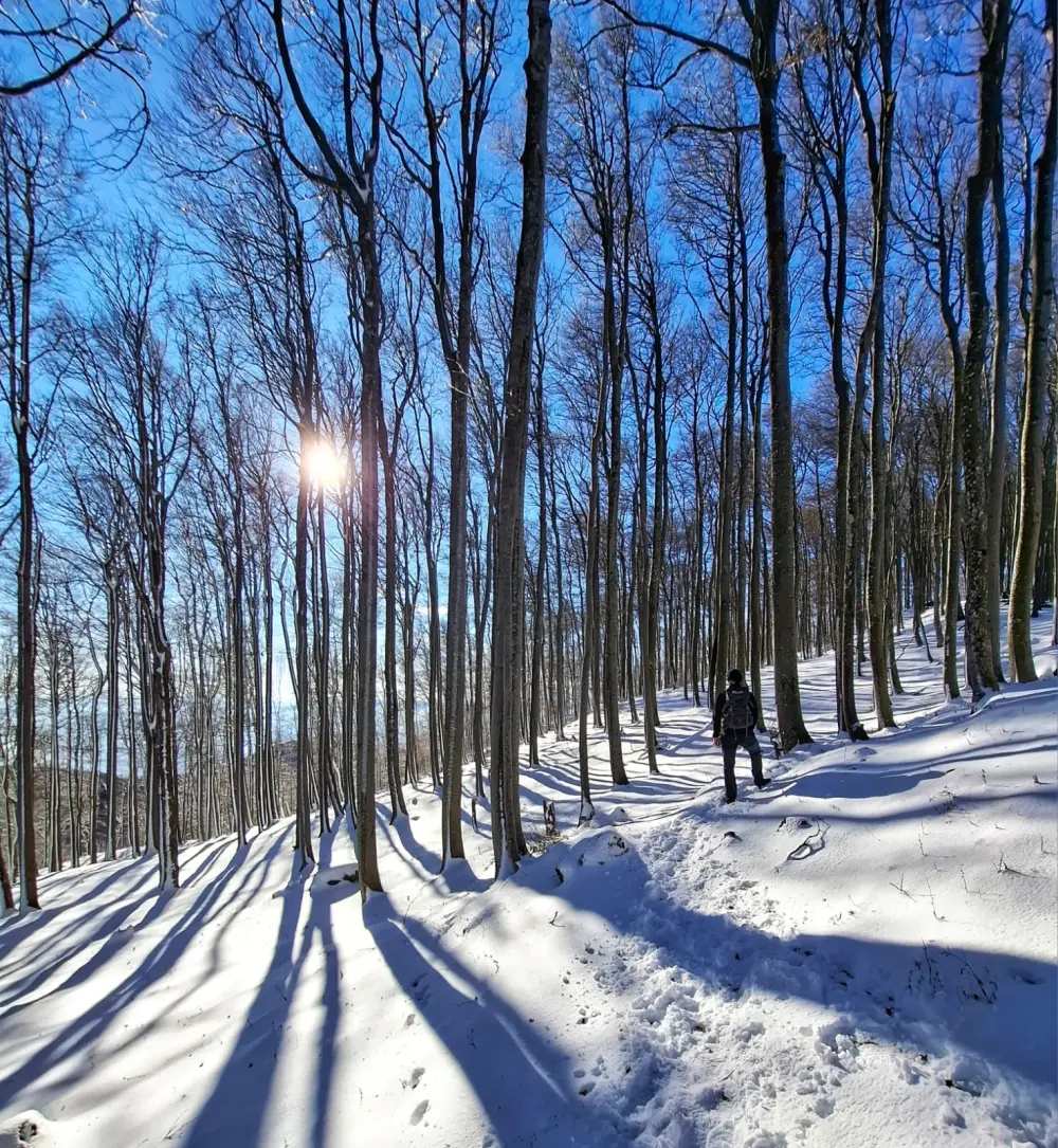 snijeg na Ivanščici FOTO Zoran Stanko 13 snijeg na Ivanščici FOTO Zoran Stanko 13