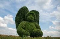 sracinec hercegbosna 03 sracinec hercegbosna 03