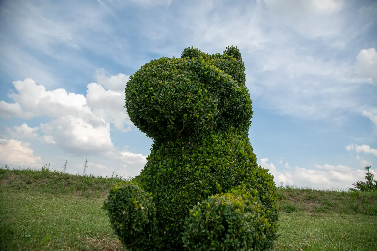 sracinec hercegbosna 05 sracinec hercegbosna 05