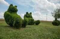 sracinec hercegbosna 06 sracinec hercegbosna 06