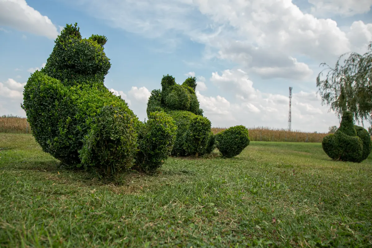 sracinec hercegbosna 06 sracinec hercegbosna 06