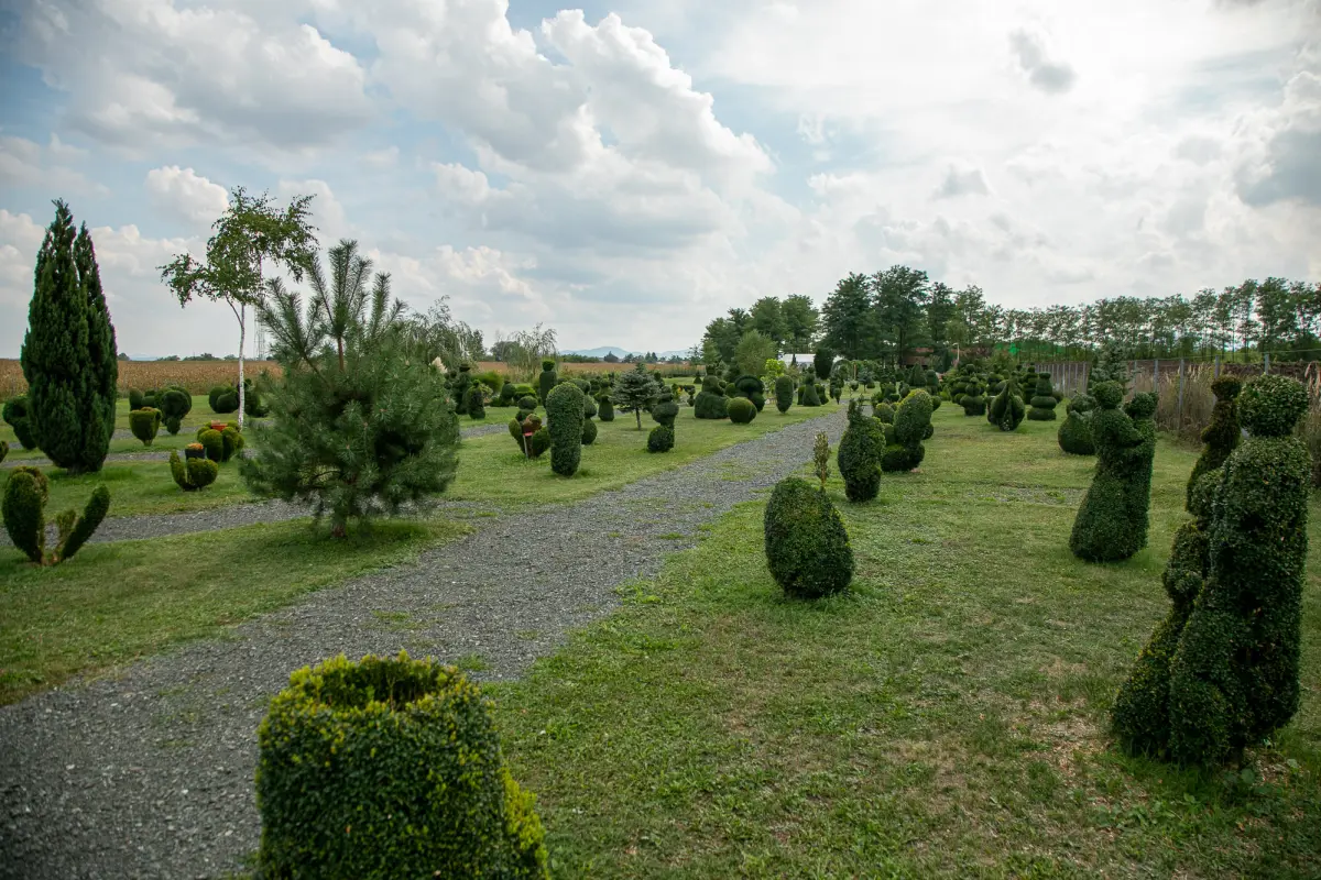 sracinec hercegbosna 09 sracinec hercegbosna 09