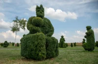 sracinec hercegbosna 10 sracinec hercegbosna 10