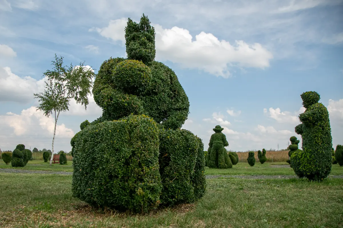 sracinec hercegbosna 10 sracinec hercegbosna 10