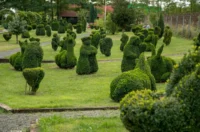 sracinec hercegbosna 11 sracinec hercegbosna 11