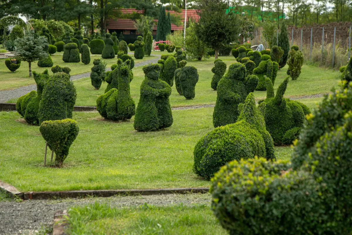 sracinec hercegbosna 11 sracinec hercegbosna 11