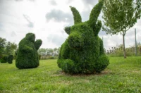 sracinec hercegbosna 12 sracinec hercegbosna 12