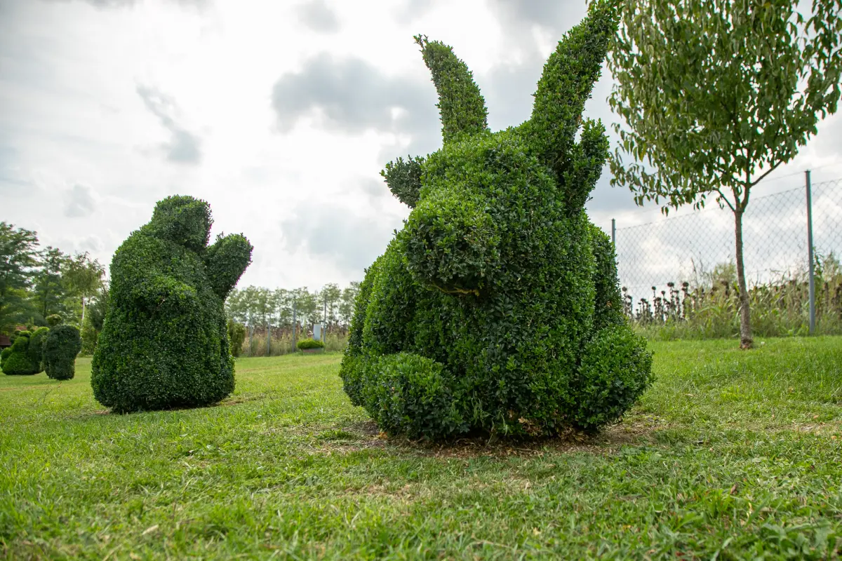 sracinec hercegbosna 12 sracinec hercegbosna 12